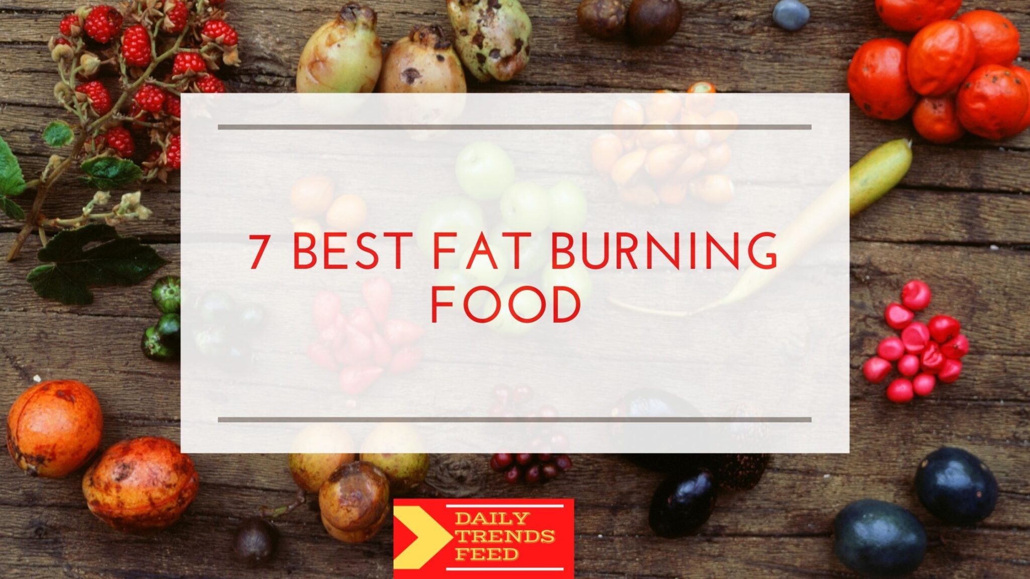 7 Best Fat Burning Food - Daily Trends Feed