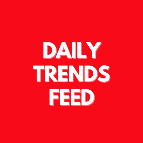 Daily Trends Feed