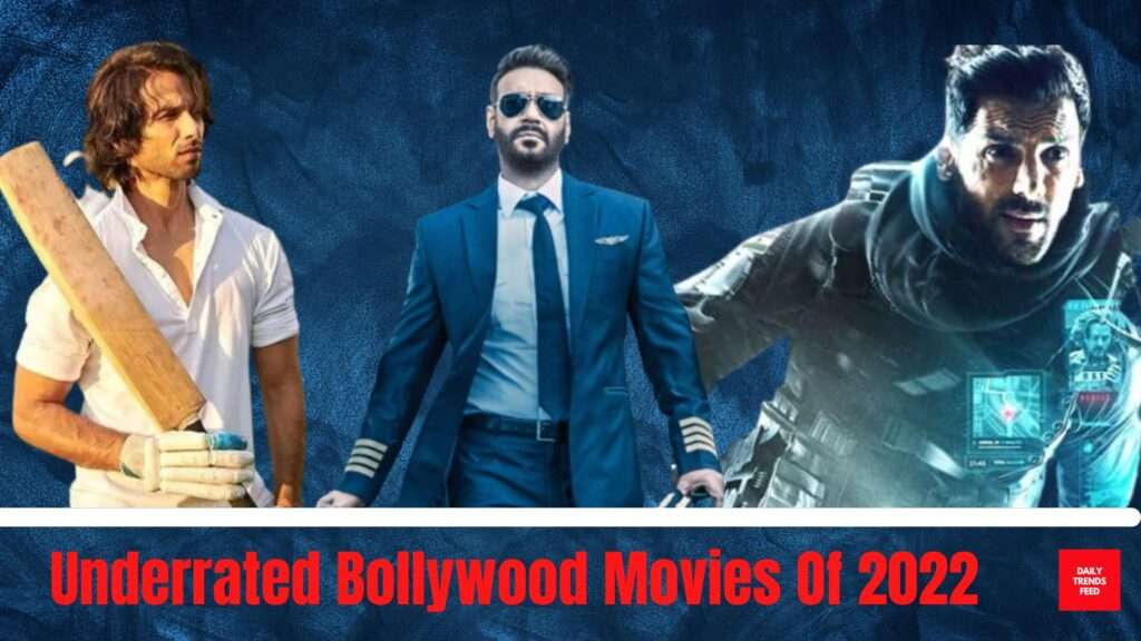 These Underrated Bollywood Movies Of 2022 Deserved More Success At Box Office! Check List!