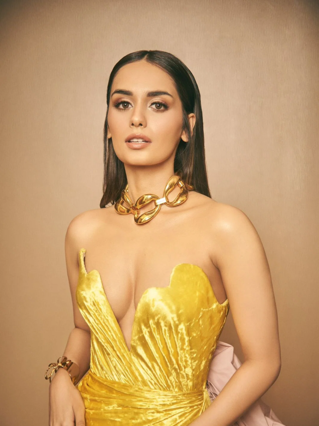 Manushi Chillar’s Upcoming Movies In 2023-24! Check Now!