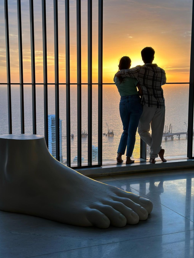 Shahid Kapoor And Mira’s Beautiful Sunset Photo From Their New House!