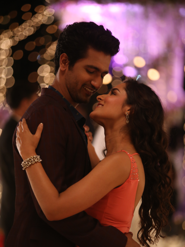 Vicky Kaushal In Love Per Square Feet On Netflix: 5 Reasons To Watch!