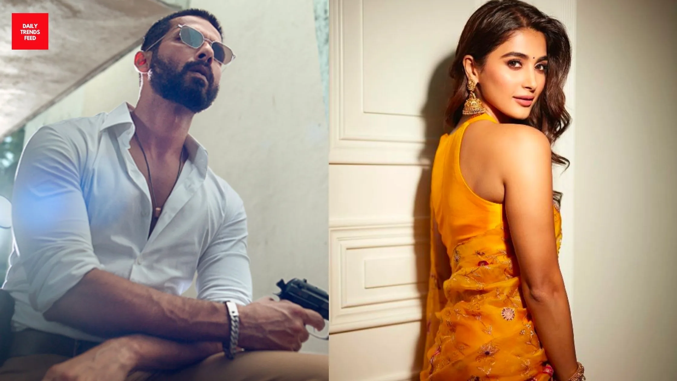 Fresh Bollywood Pairings 2024: Shahid Kapoor & Pooja Hegde In Devaa