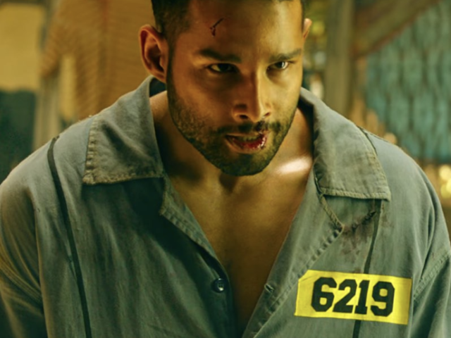 Yudhra Trailer Review: Siddhant Chaturvedi’s Angry Avatar Packs Punch!