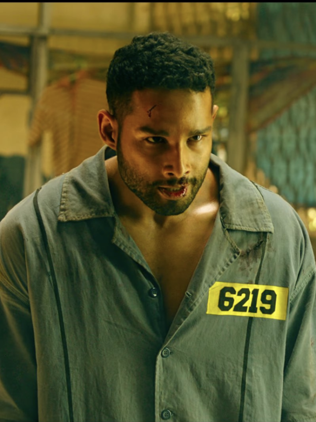 Yudhra Trailer Review: Siddhant Chaturvedi’s Angry Avatar Packs Punch!