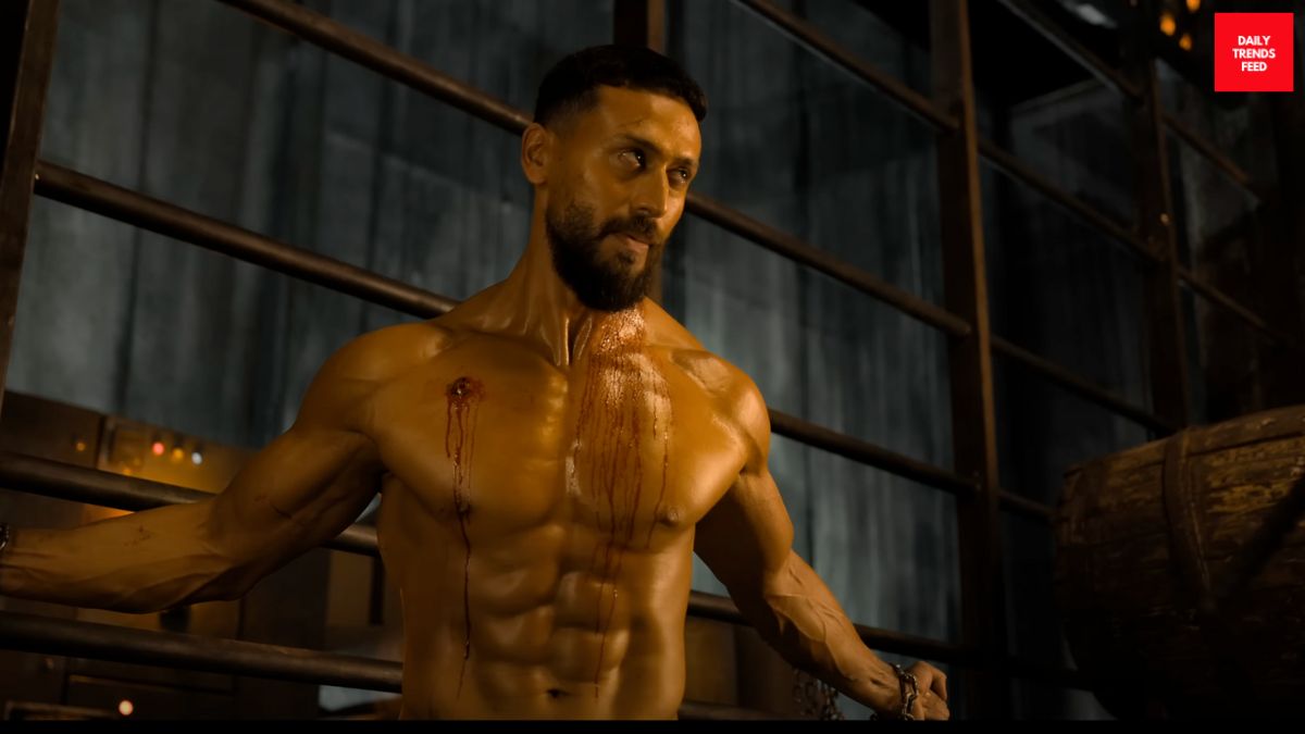 Baaghi 4 Trailer Review