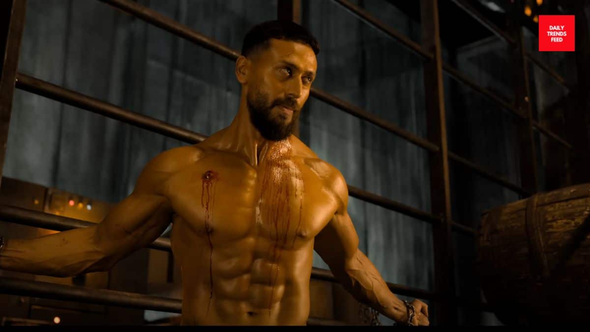 Baaghi 4 Box Office Collections Day 2: Faces Huge Drop On Second Day