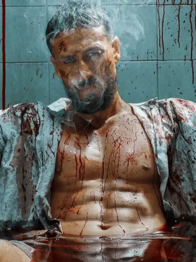 Baaghi 4 Cast Fees Revealed: Here’s What The Stars Charged